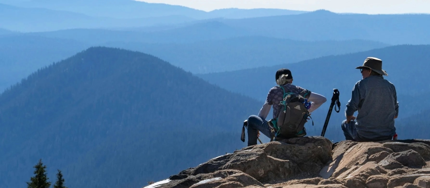 Scenic view with butterflies